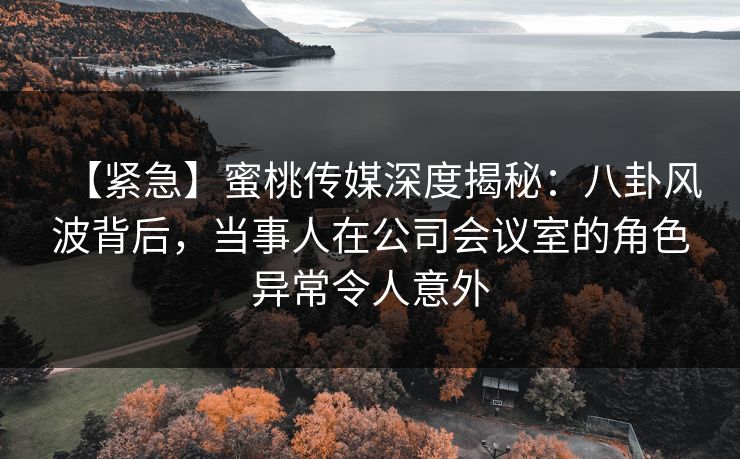 【紧急】蜜桃传媒深度揭秘：八卦风波背后，当事人在公司会议室的角色异常令人意外