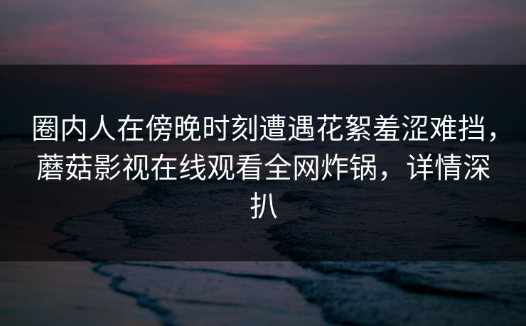 圈内人在傍晚时刻遭遇花絮羞涩难挡，蘑菇影视在线观看全网炸锅，详情深扒