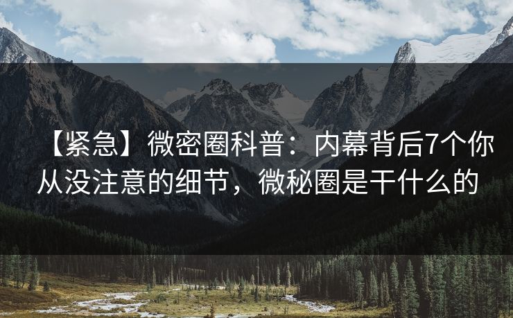 【紧急】微密圈科普：内幕背后7个你从没注意的细节，微秘圈是干什么的
