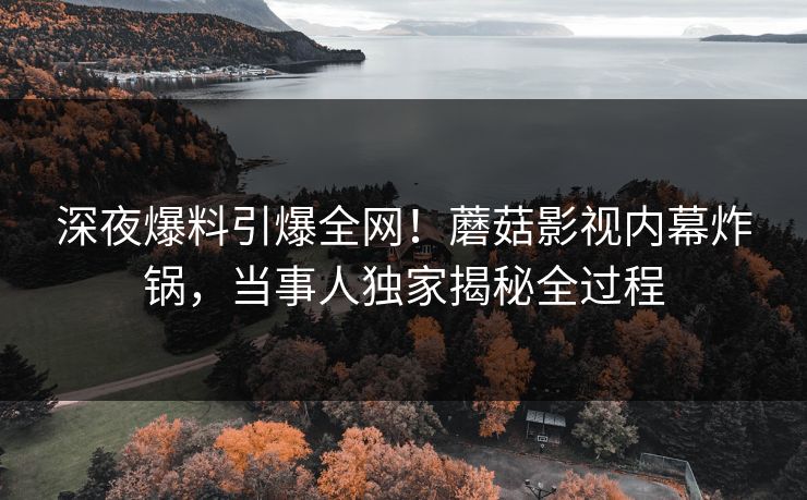 深夜爆料引爆全网！蘑菇影视内幕炸锅，当事人独家揭秘全过程