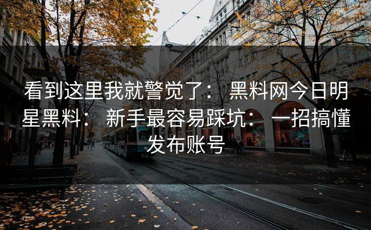 看到这里我就警觉了： 黑料网今日明星黑料： 新手最容易踩坑： 一招搞懂发布账号